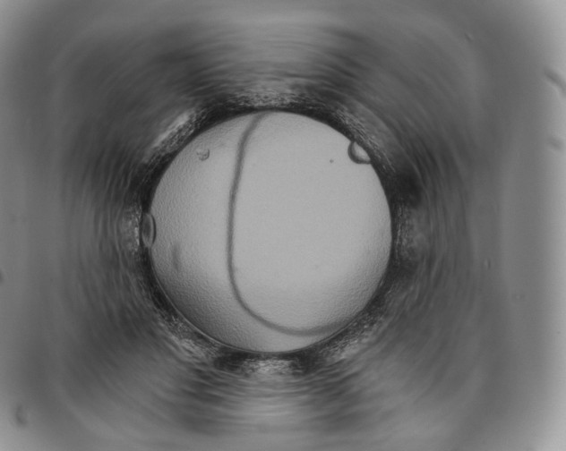 X0000096690501200803041303