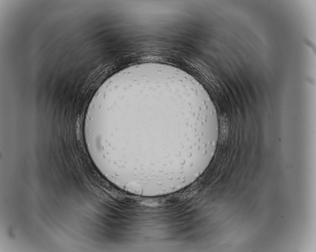 X0000096690502200803041303