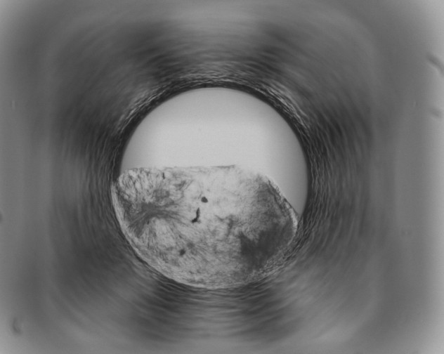 X0000096690503200803041303