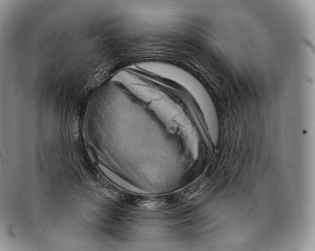 X0000096690504200803041303