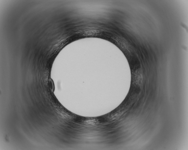 X0000096690505200803041303