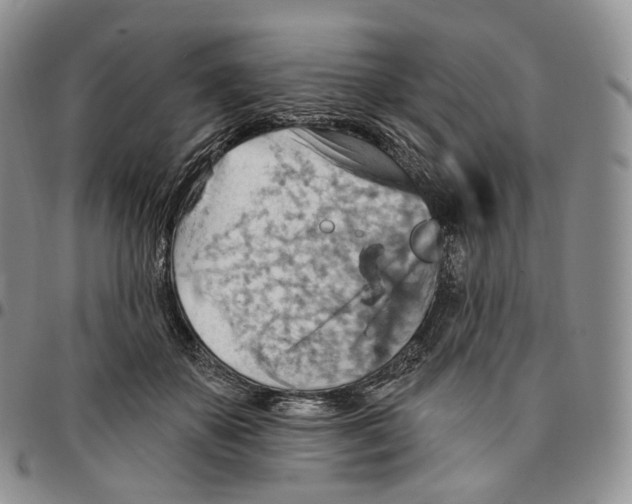 X0000096690507200803041303