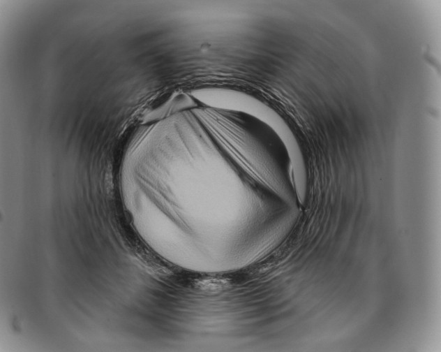 X0000096690508200803041303