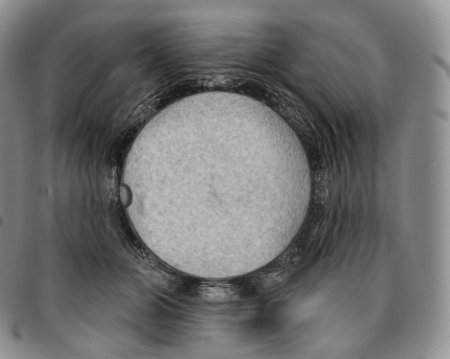 X0000096690510200803041303