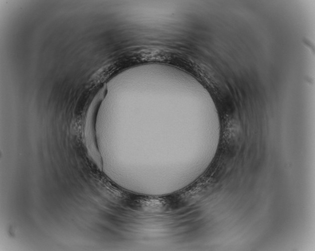 X0000096690513200803041303