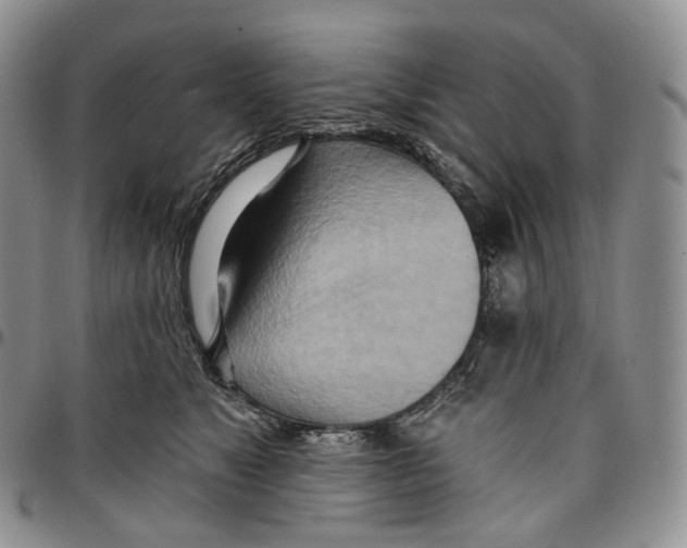 X0000096690517200803041303