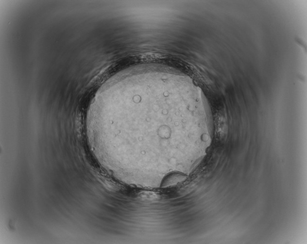 X0000096690519200803041303