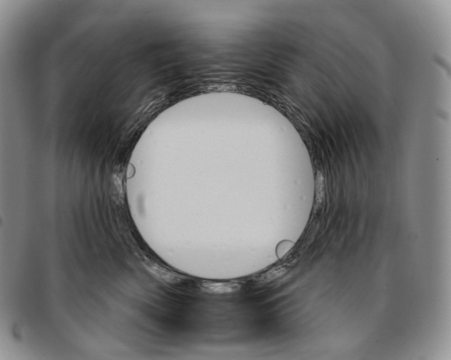 X0000096690522200803041303