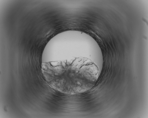 X0000096690523200803041303