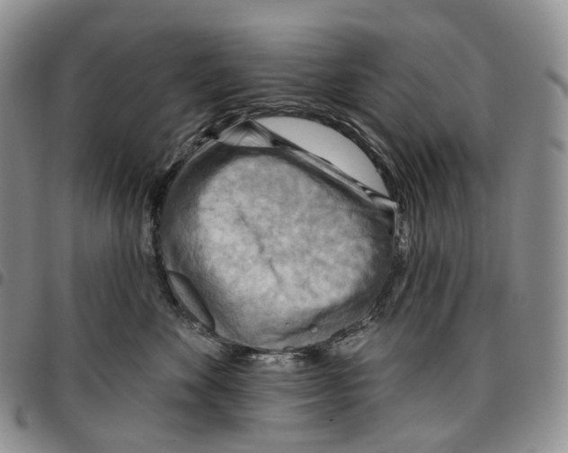 X0000096690524200803041303