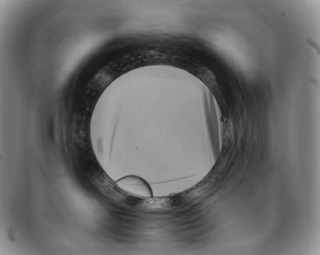 X0000096690526200803041303