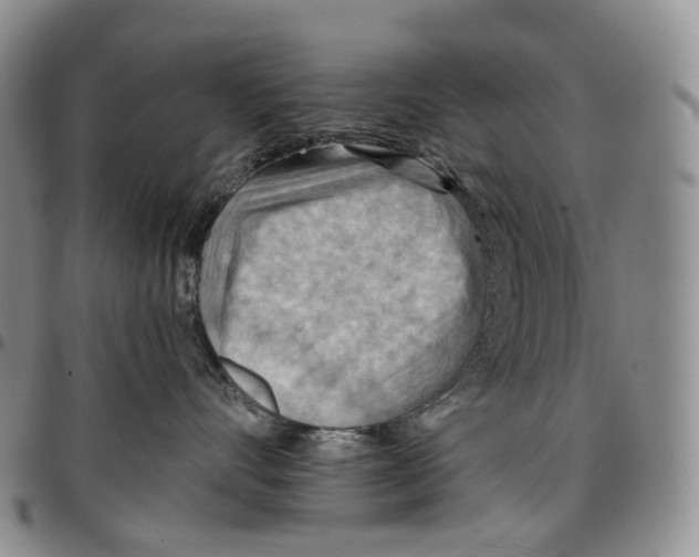 X0000096690528200803041303