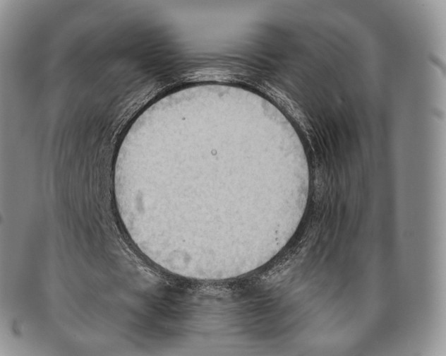 X0000096690529200803041302