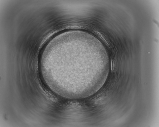 X0000096690531200803041302