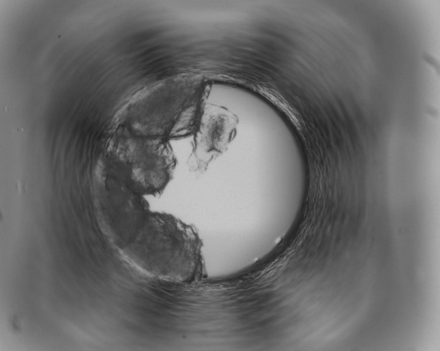 X0000096690533200803041302