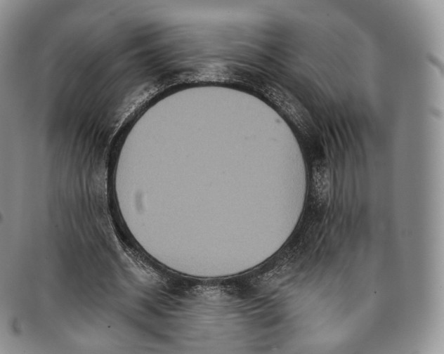 X0000096690534200803041302