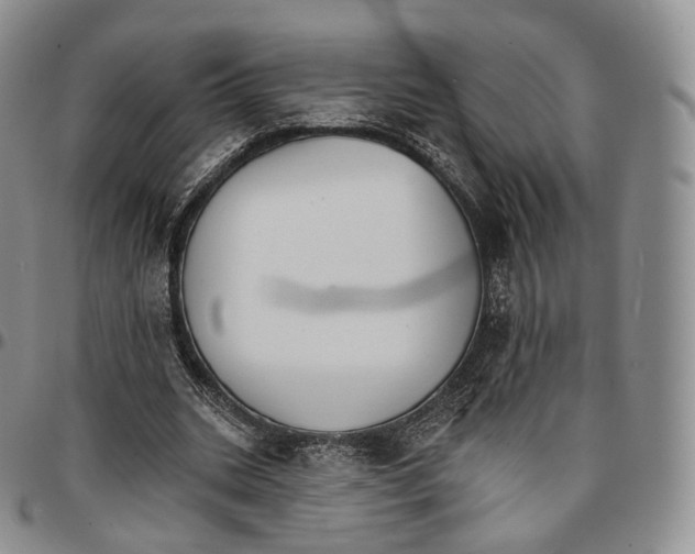 X0000096690535200803041302