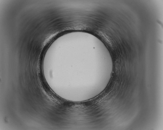 X0000096690536200803041302