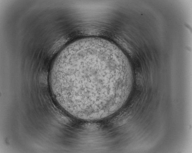 X0000096690537200803041302