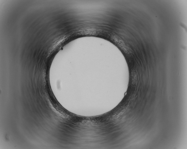 X0000096690538200803041302