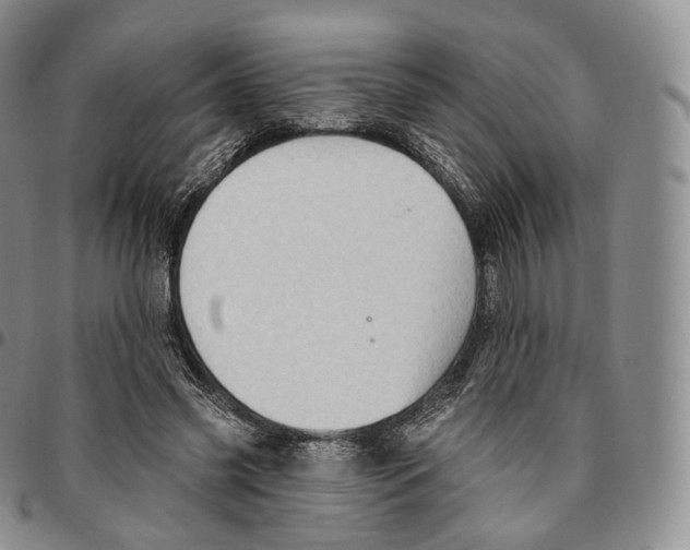 X0000096690541200803041302