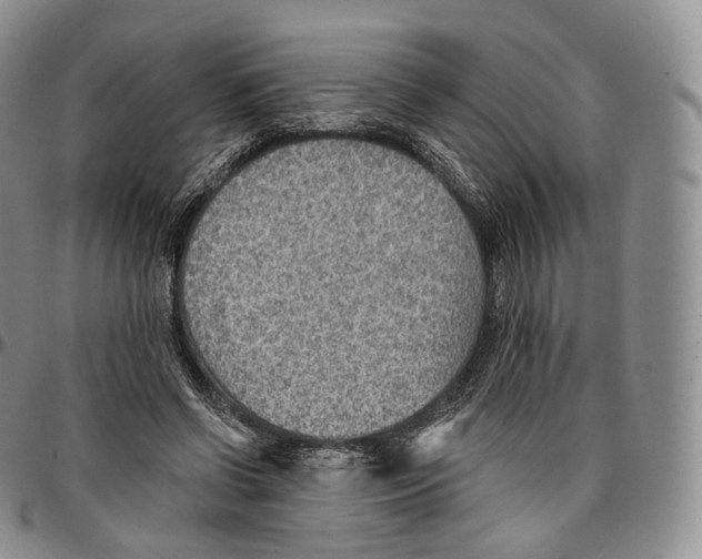 X0000096690542200803041302