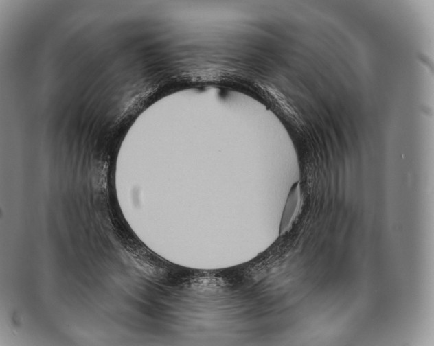 X0000096690543200803041302