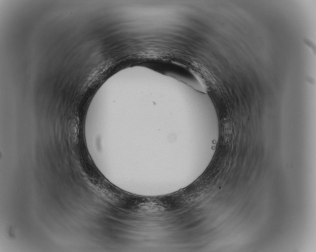 X0000096690544200803041302