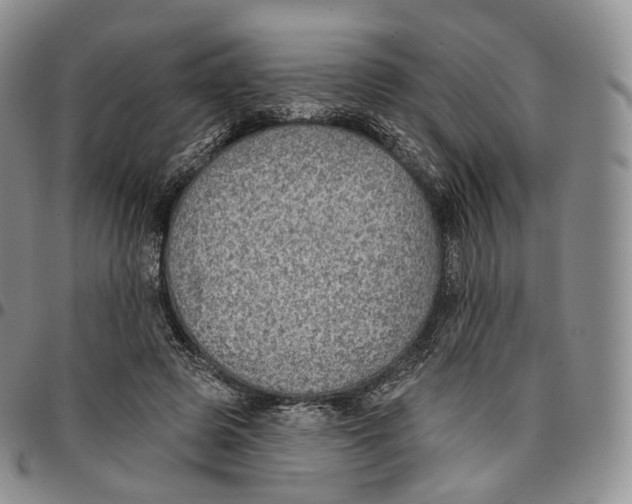 X0000096690545200803041302