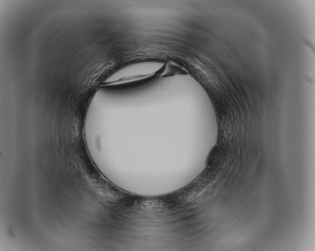 X0000096690546200803041302