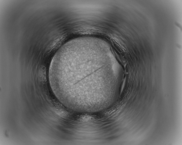 X0000096690547200803041302