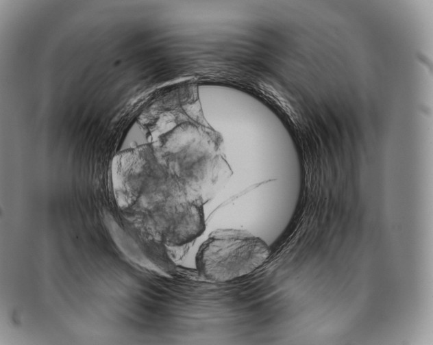 X0000096690549200803041302