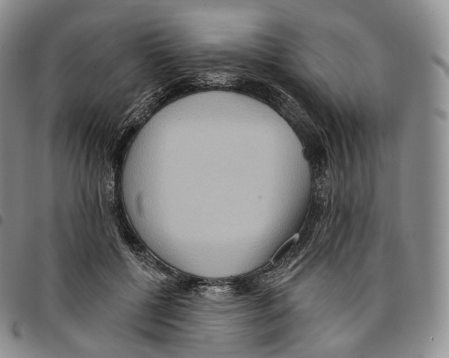 X0000096690552200803041303