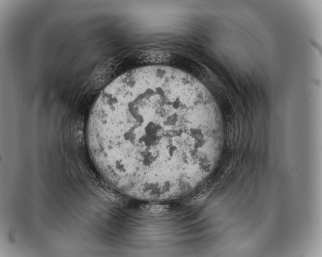 X0000096690553200803041303