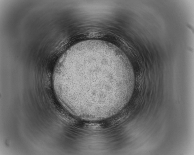 X0000096690554200803041303