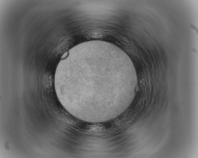 X0000096690555200803041303