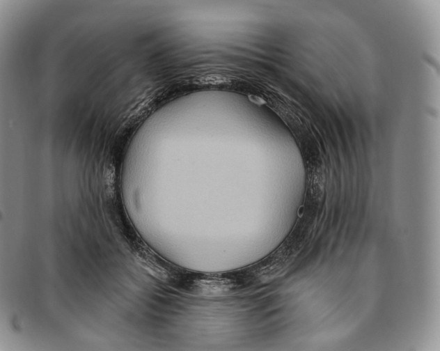 X0000096690556200803041303