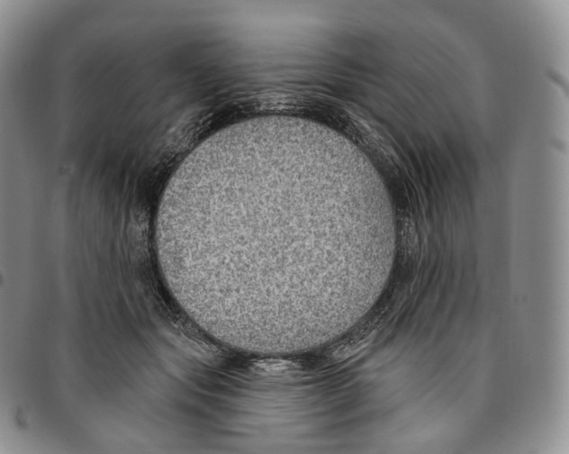 X0000096690557200803041303