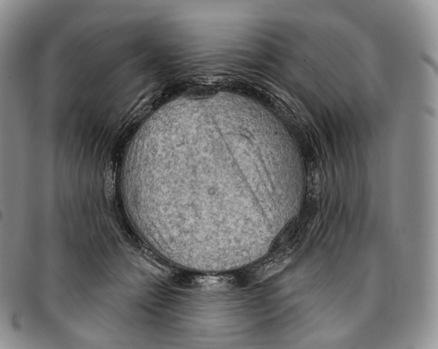 X0000096690558200803041303