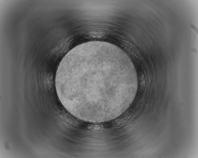 X0000096690559200803041303