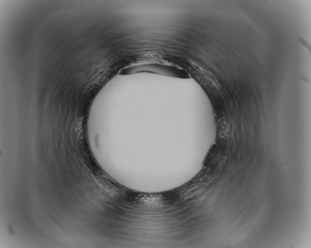 X0000096690560200803041303