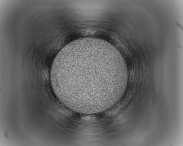 X0000096690561200803041303