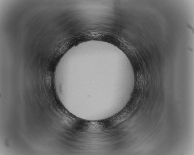 X0000096690562200803041303