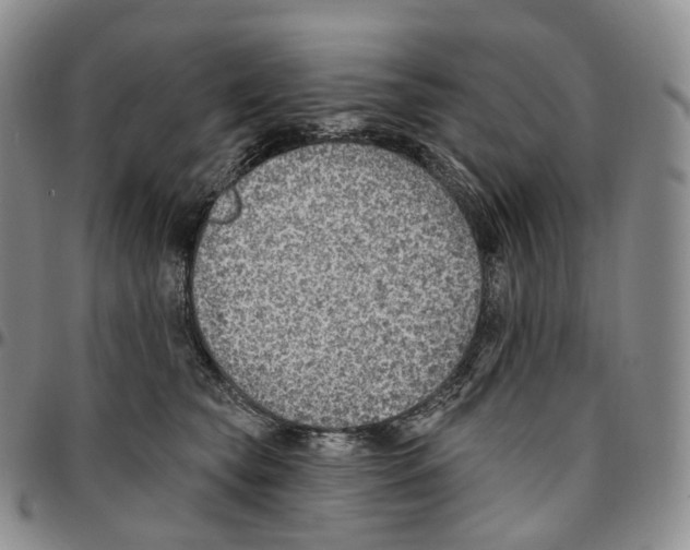 X0000096690565200803041303