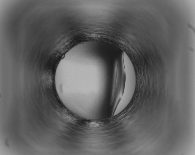 X0000096690566200803041303