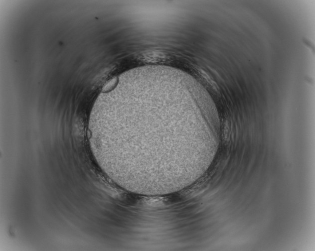 X0000096690569200803041303