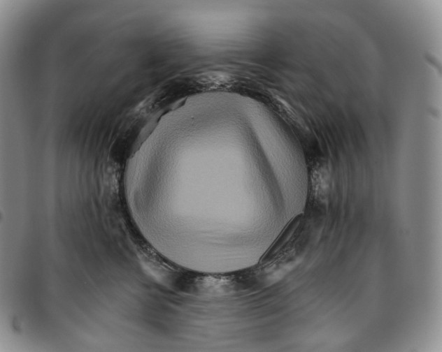 X0000096690570200803041303