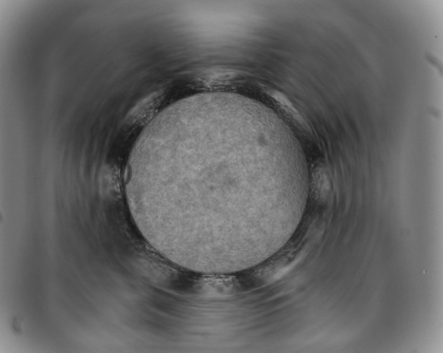 X0000096690571200803041303