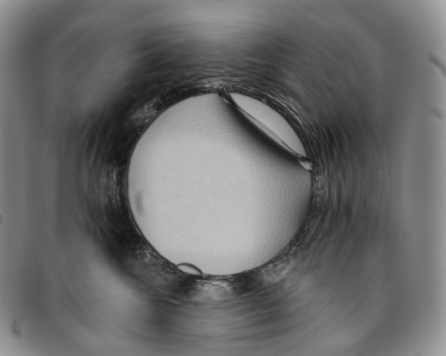 X0000096690572200803041303