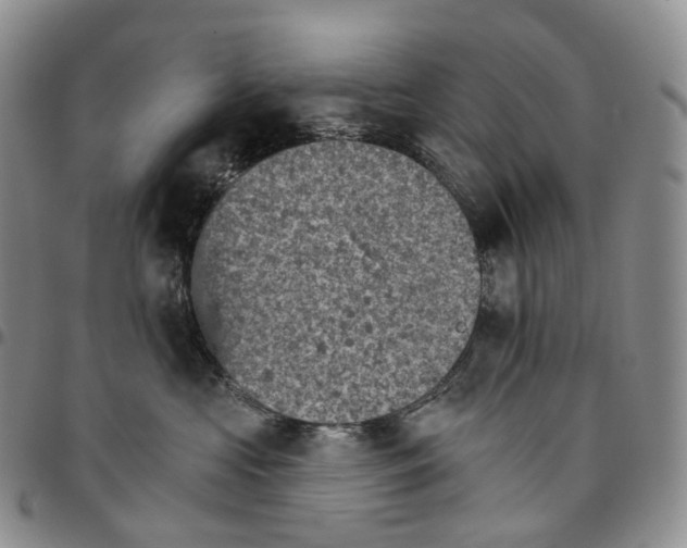 X0000096690573200803041303